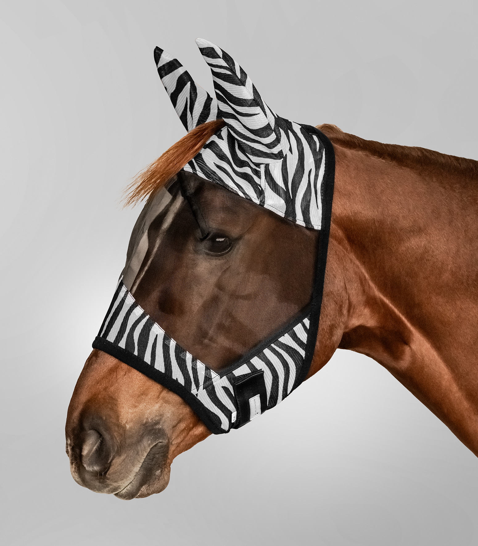 Bild von Pferde-Fliegenmaske Zebra, Pferdegesichtsmaske, Pferdefliegenmaske